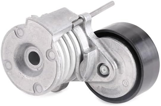SNR GA350.65 Riemenscheibe tensora, Armband poliert V