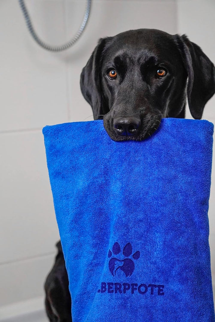 Silberpfote® Hundehandtuch Set - 2er Pack – Weich, Waschbar und Saugfähig - 130x75cm, Blau & Grau -