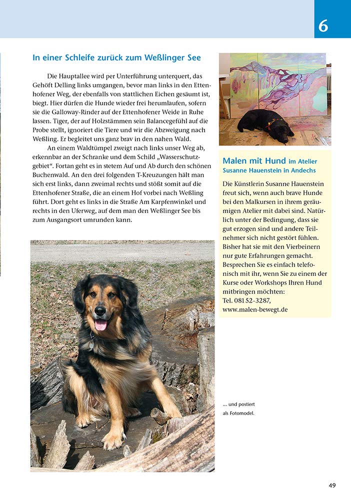 Die schönsten Wanderungen mit Hunden: Oberbayern Aktualisierte Neuauflage! Jetzt 36 Touren, Taschenb