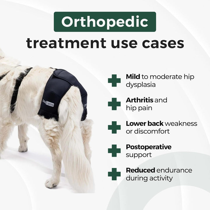 Ortocanis - Hüftorthese für Hunde - Hüftdysplasie, Hüftschmerzen oder Lokalisierten Arthrose - Stabi