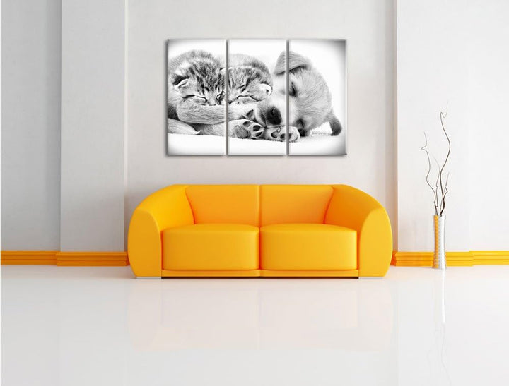 Pixxprint Hundewelpe mit kleinen Kätzchen als Leinwandbild/Grösse: 3 Teilig (120x80) / Wandbild/Kuns