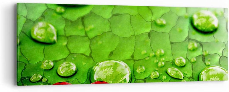 Panorama Bilder auf Leinwand Marienkäfer Gras Blatt Tropfen Leinwandbild 90x30cm Wandbilder Dekorati