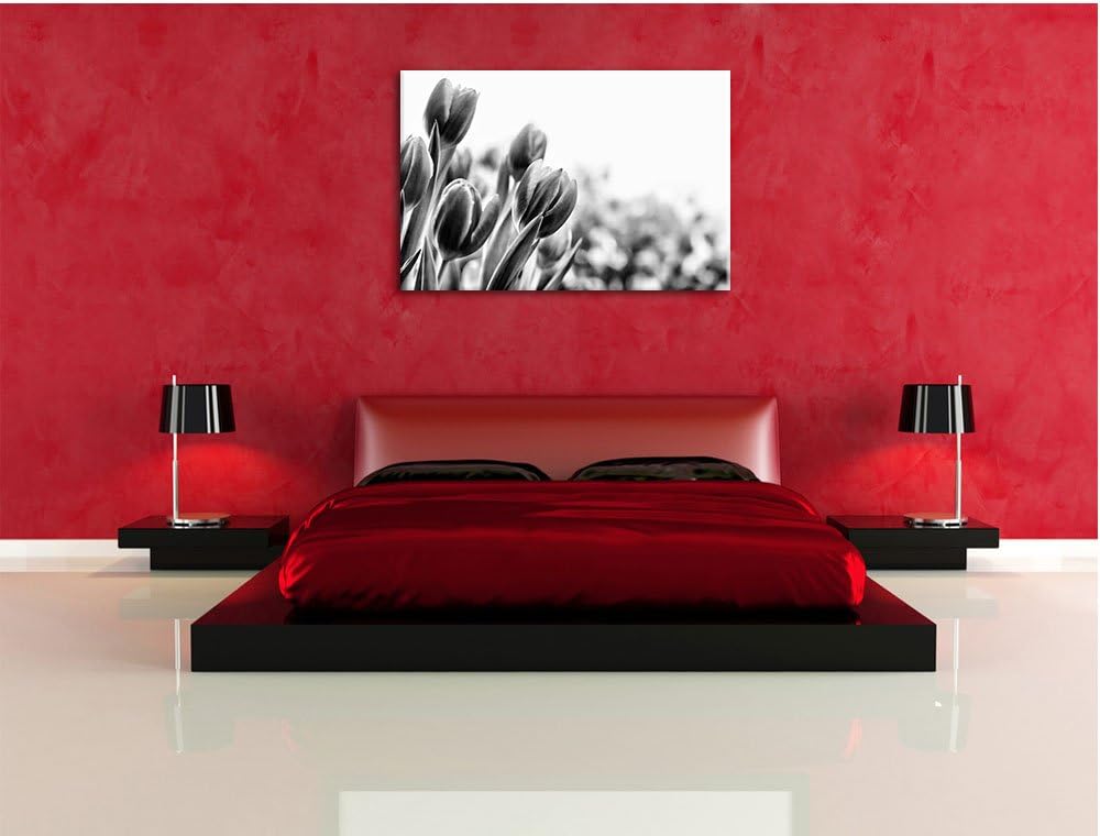 Pixxprint Bunte Tulpenwiese als Leinwandbild | Grösse: 100x70 cm | Wandbild | Kunstdruck | fertig be