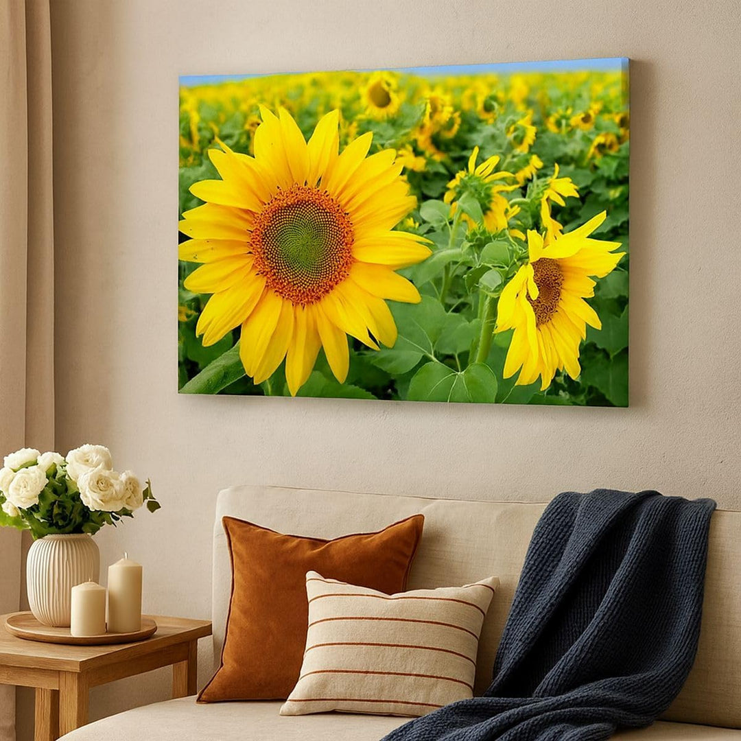 Bilder auf Leinwand Wolken Sonnenblumen Plantagen Leinwandbild 70x50cm Wandbilder Dekoration Wohnzim