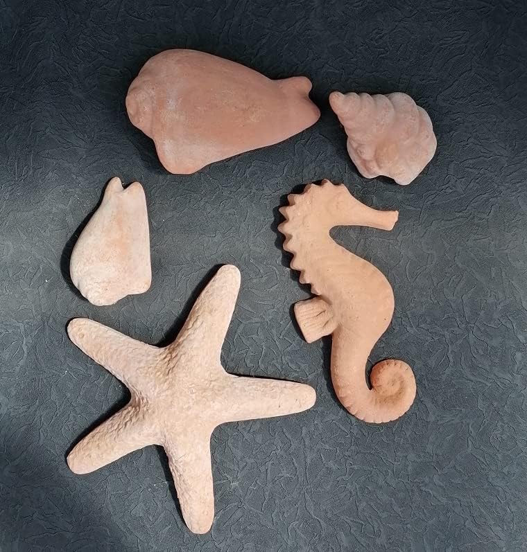 5 er Set Muscheln Seepferd und Seestern aus Terracotta Terrakotta Deko Garten Teich Wasser Strand Ur