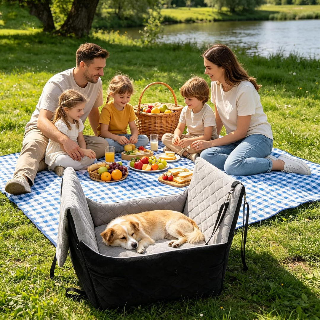 Erhöhter Hunde Autositz für kleine Hunde bis 16 kg mit Sicherheitsgurten