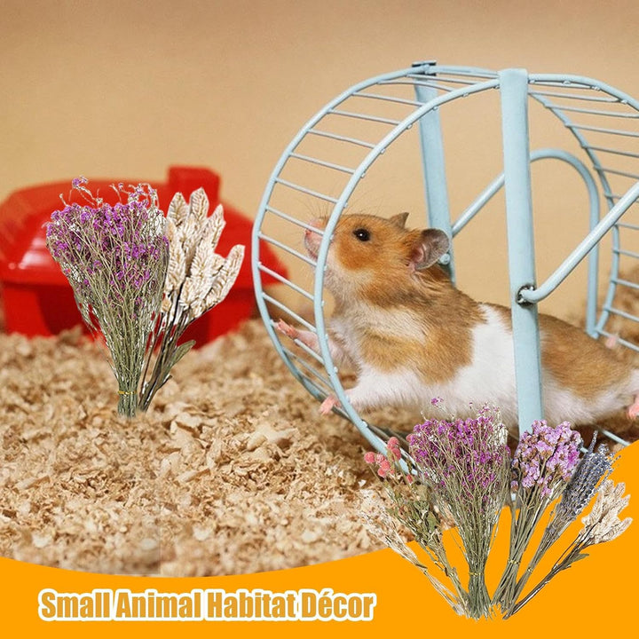 Trockenblumen-Bettwäsche für Hamster, natürliche Hamster-Bettwäsche, Kleintierblumen, Lebensraum-, L