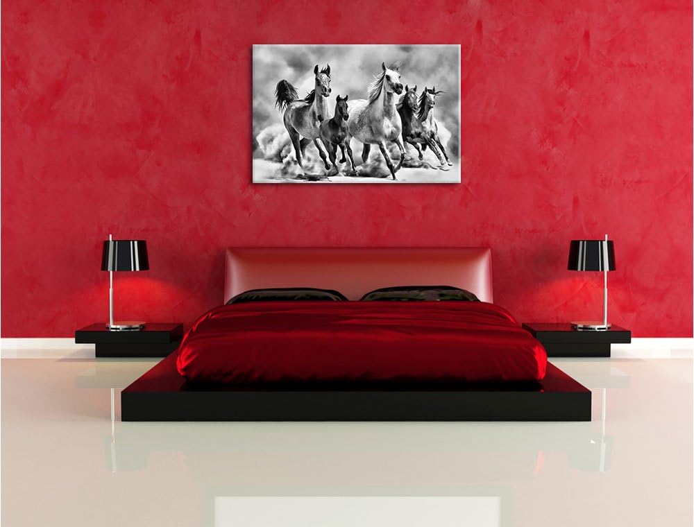 Pixxprint Monocrome, Western Pferde in Wüste mit Fohlen, Format: 100x70 auf Leinwand, 100x70
