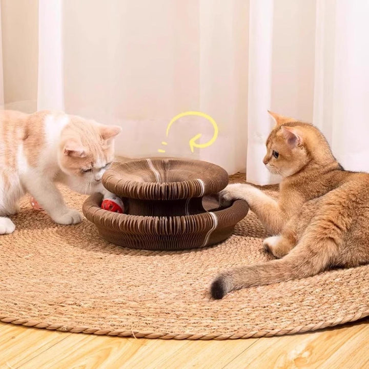 Kratzkokon, Katzenwirbel Für Grosse Katzen, Tragbare Pet Cat Scratch Board, Faltbar Interaktive Krat