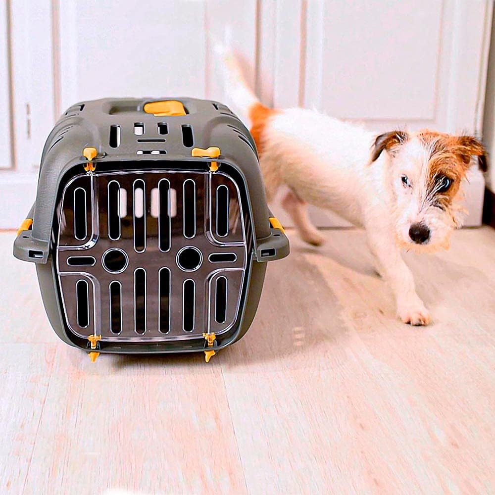 Ferplast Transportbox für kleine Hunde und Katzen, Jet 10, transparente Tür, stossfest, Belüftungssc