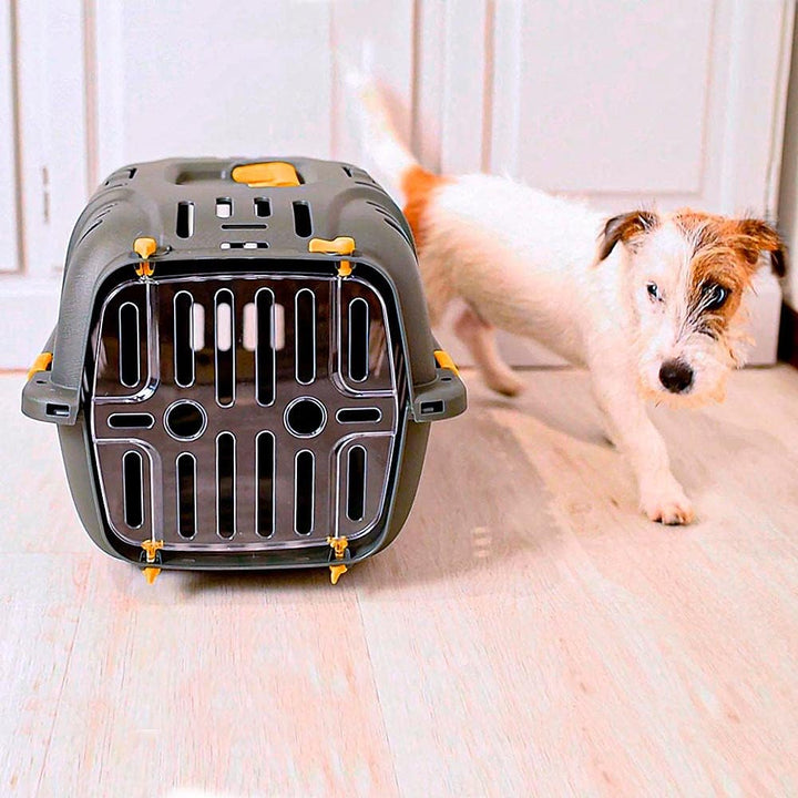 Ferplast Transportbox für kleine Hunde und Katzen, Jet 10, transparente Tür, stossfest, Belüftungssc