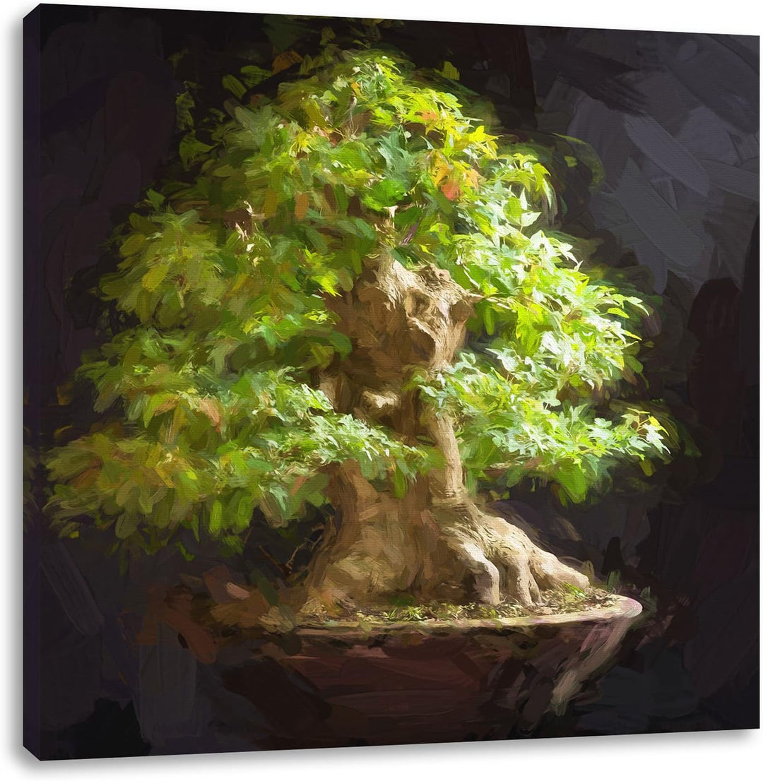 Pixxprint Kleiner Bonsaibaum als Leinwandbild/Grösse: 70x70 cm/Wandbild/Kunstdruck/fertig bespannt,