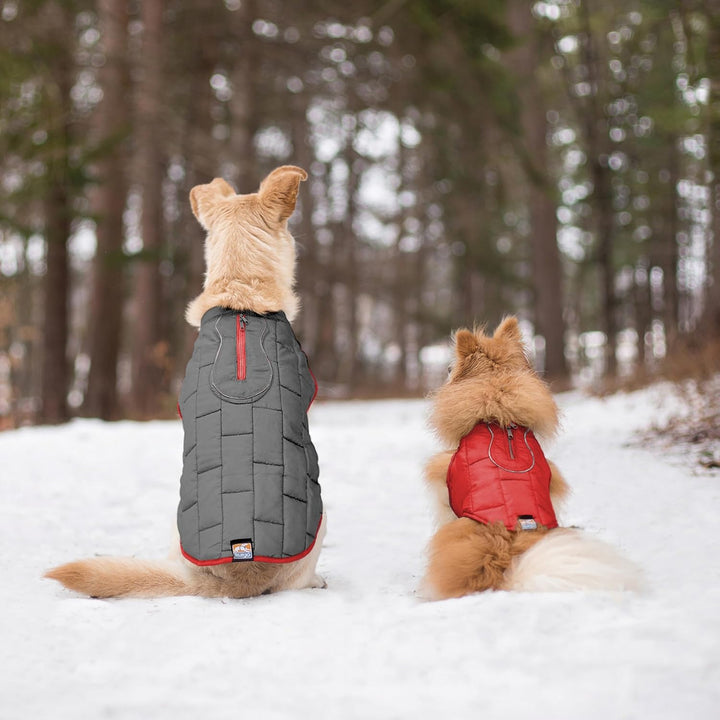 Kurgo Loft Hundejacke, Mit Hundegeschirr kombinierbar, Wasserdicht und reflektierend, Ideal für den