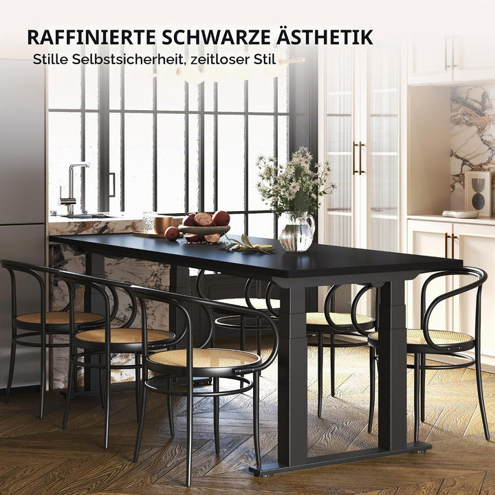 FLEXISPOT stabile Tischplatte 120x60 cm 2,5 cm stark - DIY Schreibtischplatte Bürotischplatte Spanho