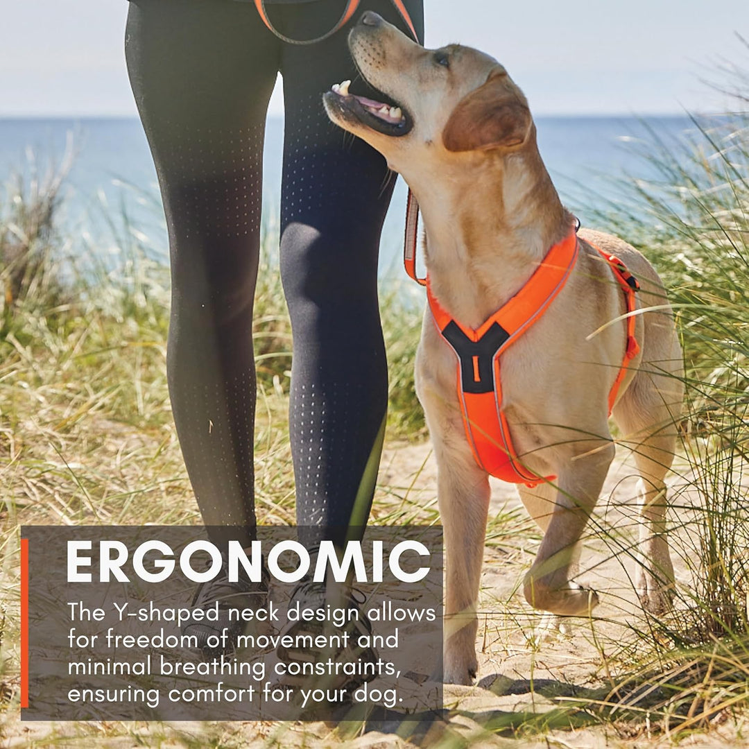 Non-stop dogwear Line Harness 5.0, Gepolstertes Hundegeschirr für kleine, mittlere und grosse Hunde,