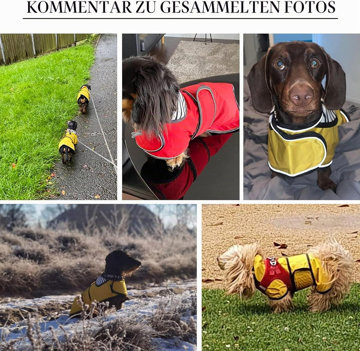 Geyecete Hunde Regenmantel,Einstellbar Wasserdicht Hundejacke für Dackel,Regenmantel mit reflektiere