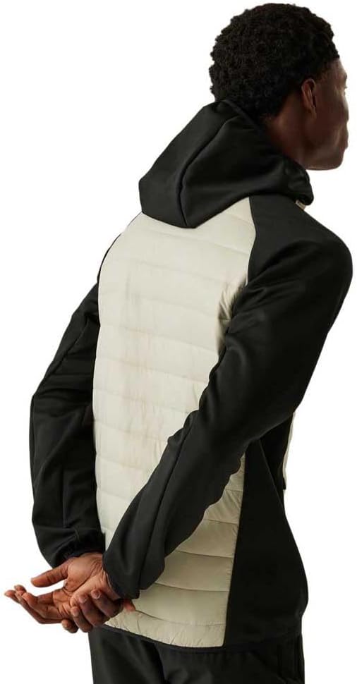 Regatta Herren Softshelljacke mit Kapuze, gepolstert, 1 Stück XL Abbeystone / Schwarz, XL Abbeystone