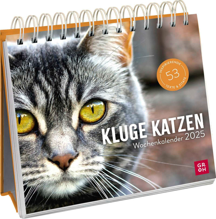 Wochenkalender 2025: Kluge Katzen: Katzenkalender zum Aufstellen mit Wochenkalendarium, Tischkalende