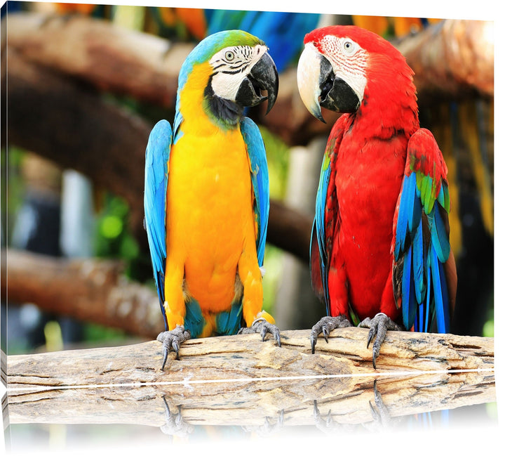 Zei Papageien auf einem Ast Format: 100x70 auf Leinwand, XXL riesige Bilder fertig gerahmt mit Keilr