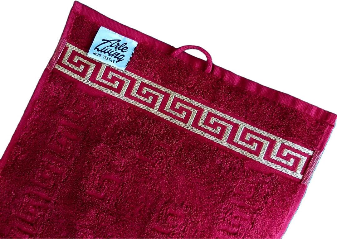Arle-Living Luxus Medusa Gästetücher 30x50 cm im 4 er Pack - feinste Baumwolle/Hochflor Frottee mit