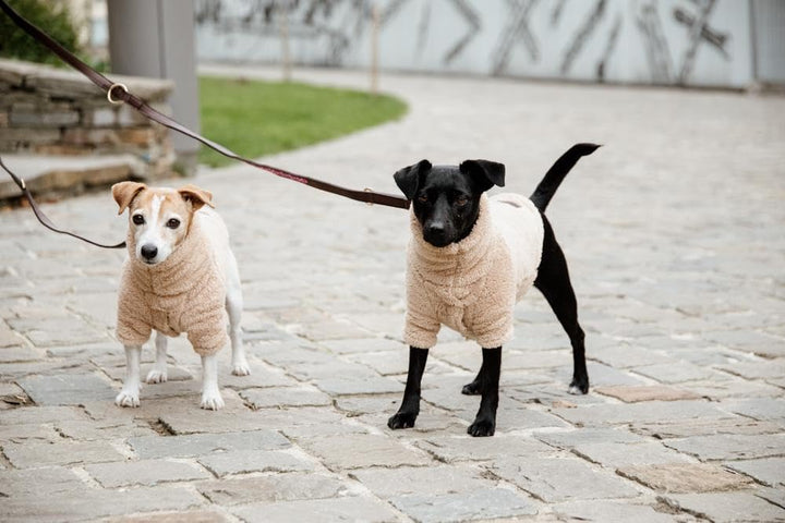Kentucky Dogwear Hundepullover Teddy Fleece, Grösse:M, Farbe:beige M beige, M beige