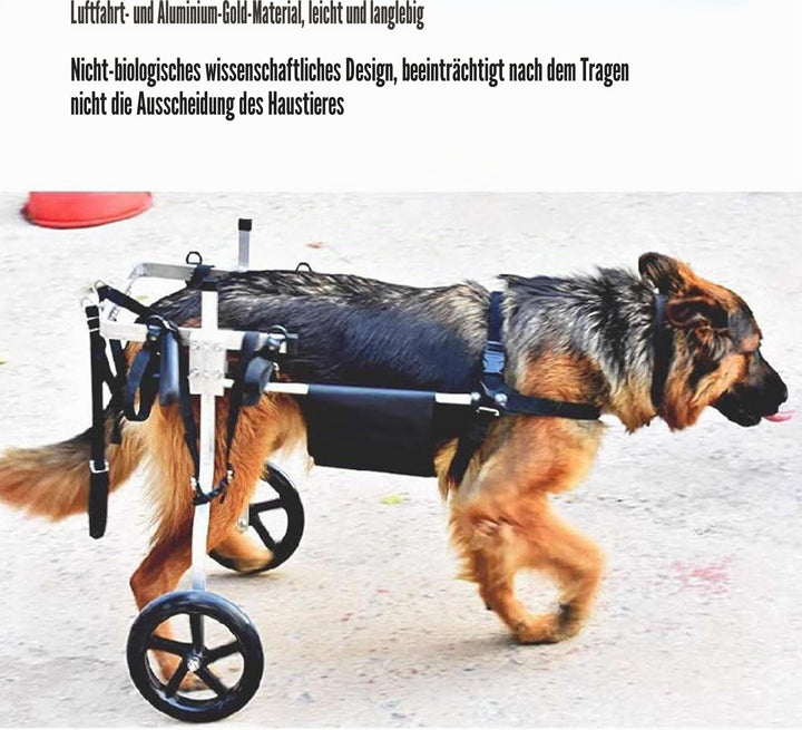 Mittlerer und grosser Hunderollstuhl, Rehabilitationshilfe, Hinterbeinstütze, Hundewagen mit Rädern,