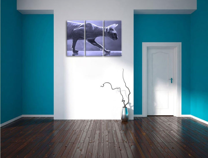 Pixxprint Einzigartige Sphynx Katze Schwarz/Weiss 3-Teiler Leinwandbild 120x80 Bild auf Leinwand