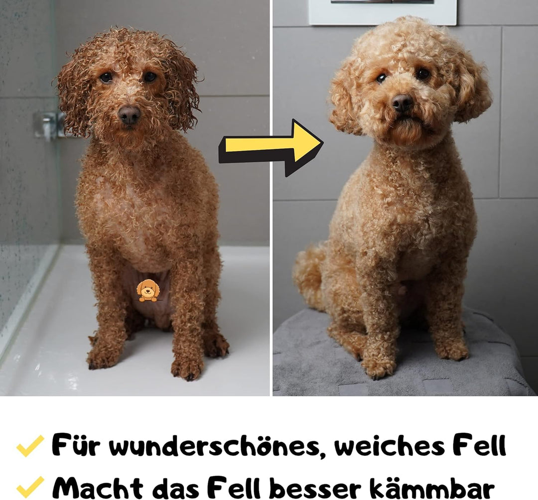 Moki Bär Leave-In-Pflege Conditioner für Hunde 200 ml I Mit wertvollem Arganöl aus Marokko I Für ges