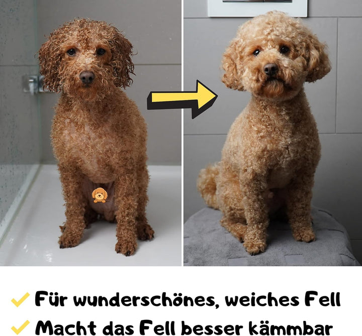 Moki Bär Leave-In-Pflege Conditioner für Hunde 200 ml I Mit wertvollem Arganöl aus Marokko I Für ges