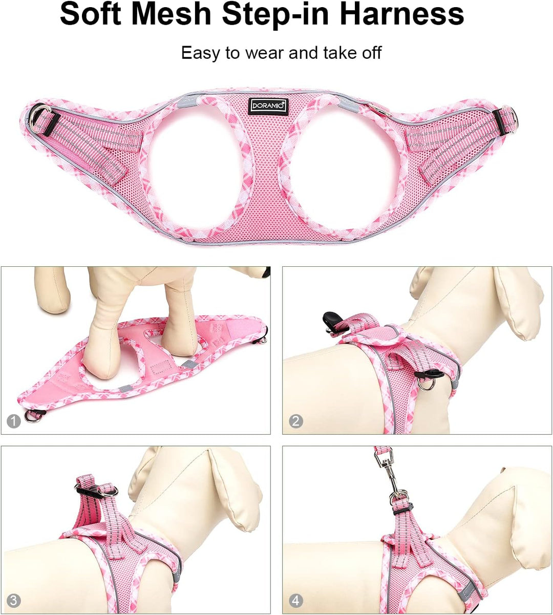 DORAMIO Hundegeschirr Kleine Hunde mit Leine, Step-in Geschirr Reflektierend Atmungsaktiv Brustgesch