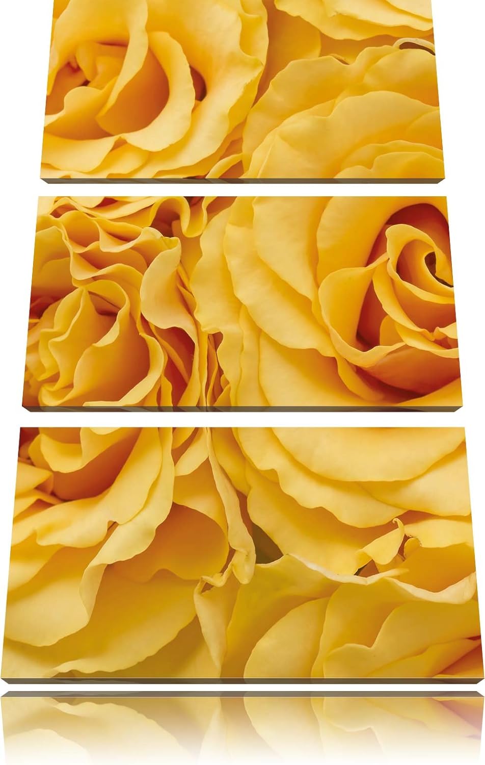 Pixxprint Blumen Rosen / 3-Teilig/Gesamtmass 120cm Leinwandbild bespannt auf Holzrahmen/Wandbild Kun