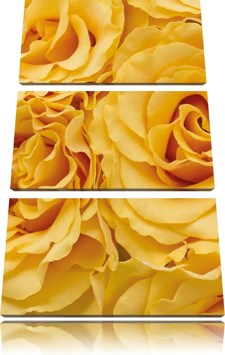 Pixxprint Blumen Rosen / 3-Teilig/Gesamtmass 120cm Leinwandbild bespannt auf Holzrahmen/Wandbild Kun