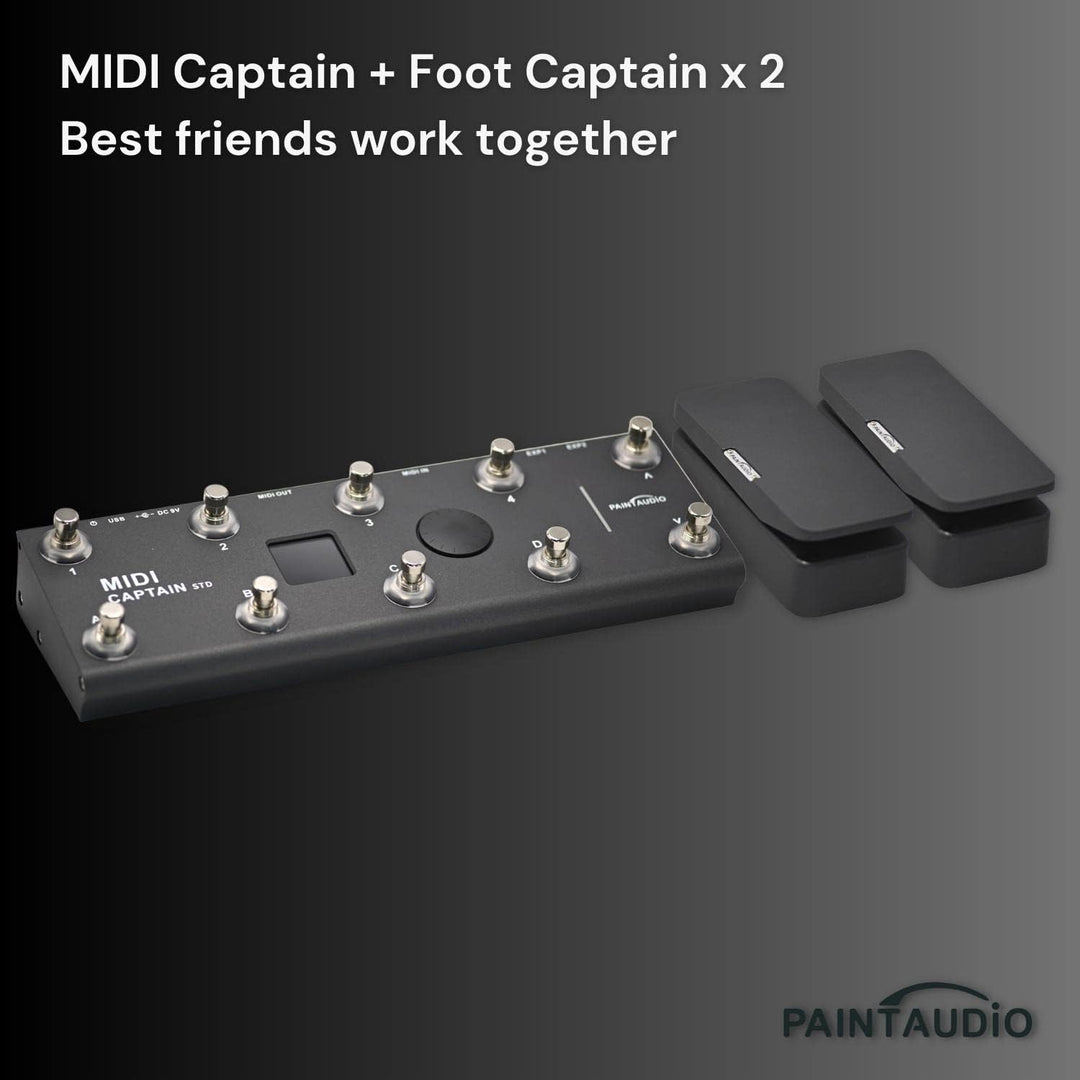 Paint Audio Foot Captain Dual Outputs Expression Pedal, Multi-Effekt-kompatibel für Tip/Ring-Verbind