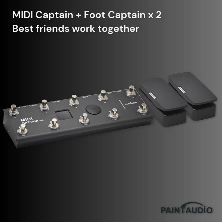 Paint Audio Foot Captain Dual Outputs Expression Pedal, Multi-Effekt-kompatibel für Tip/Ring-Verbind