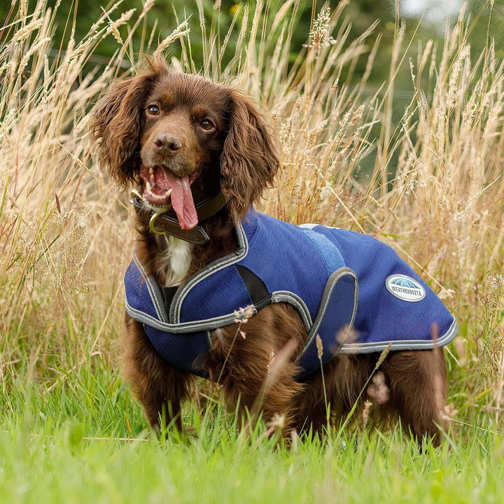 Weatherbeeta - Hund Comfitec Premier Kostenlos Parka Delux Hundemantel - Dunkelblau/Grau/Weiss 35 cm