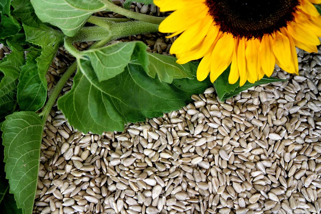 Vogelpick Sonnenblumen geschält 25 kg