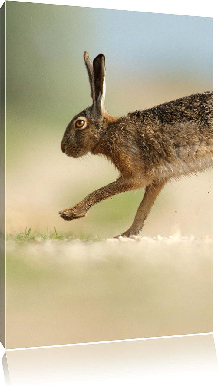 Pixxprint Hüpfender Hase, Format: 100x70 auf Leinwand, XXL riesige Bilder fertig gerahmt mit Keilrah