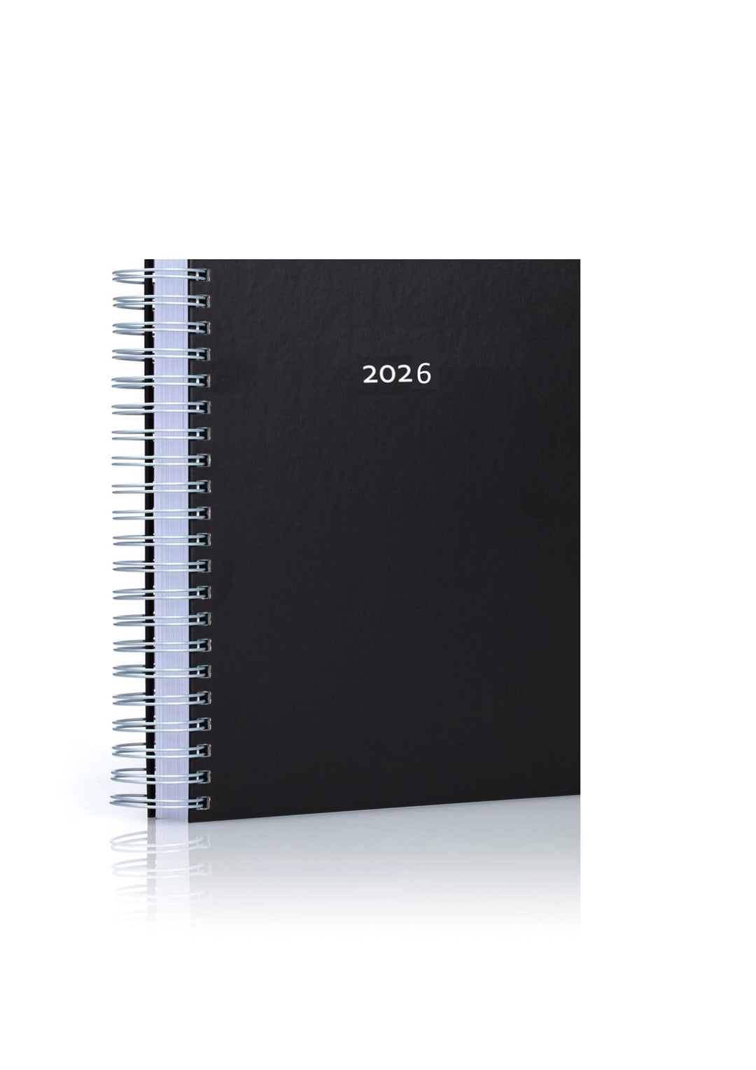 Der KLEINE DICKE - DIN A5 Kalender 2025 - schwarz - 400 Seiten - jeder Tag 1 volle Seite Platz Hellg