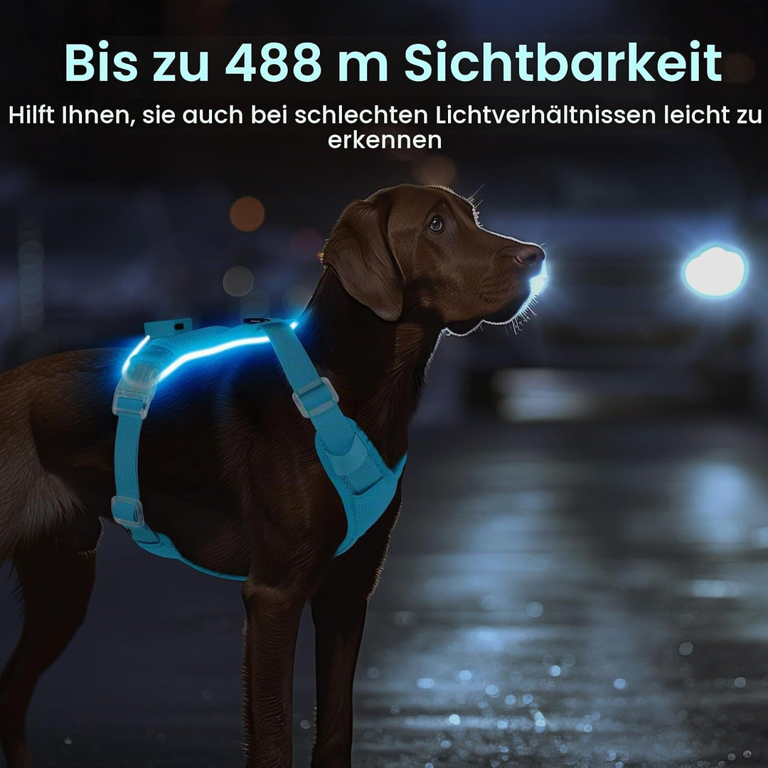 Light Up Dog Hundegeschirr Leuchtend LED Aufladbar - Leuchtgeschirr Leuchtend für Klein Mittelgrosse