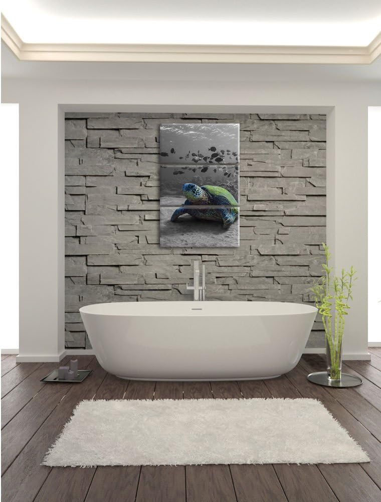 Pixxprint Schildkröte im Ozean schwarz/weiss als Leinwandbild/Grösse: 3 Teilig (120x80 cm) cm/Wandbi