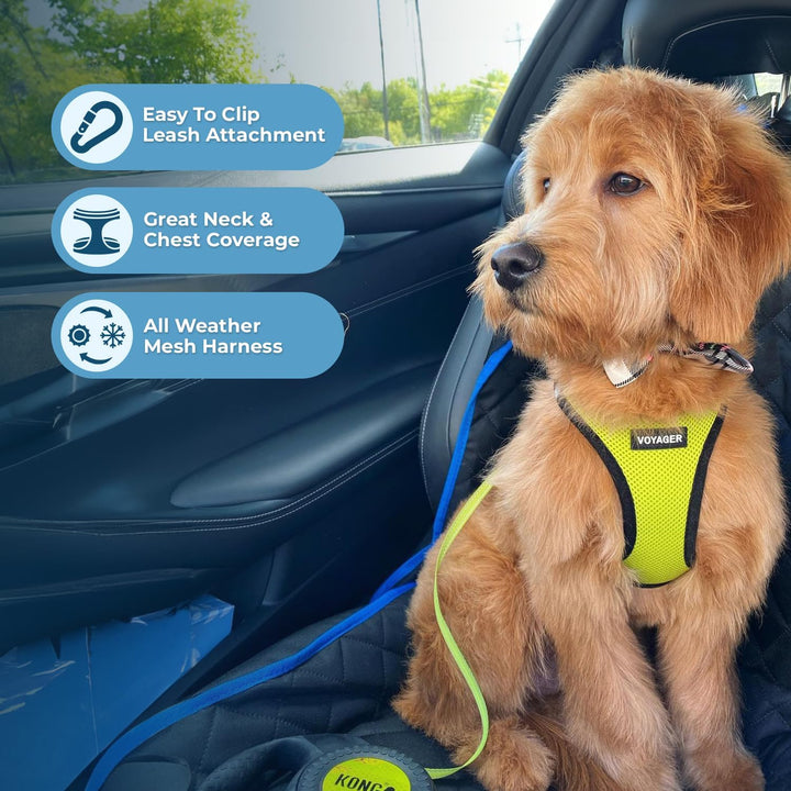 Voyager Step-In Air-Hundegeschirr – Allwetter-Mesh-Weste für kleine und mittelgrosse Hunde und Katze
