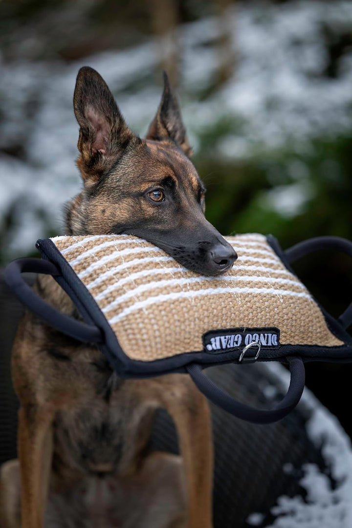 Dingo Gear Beisskissen aus Jute Keilform Gestärkt Weich Ausbildung IGP IPO K9 Hundetraining S00520 J