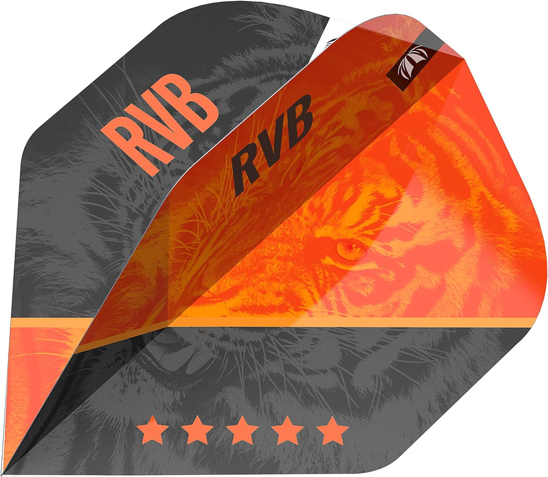 Target Darts Raymond van Barneveld RVB 95 4. Gen. 95% Wolfram Softdarts-Set Dartpfeile 20G, 20G