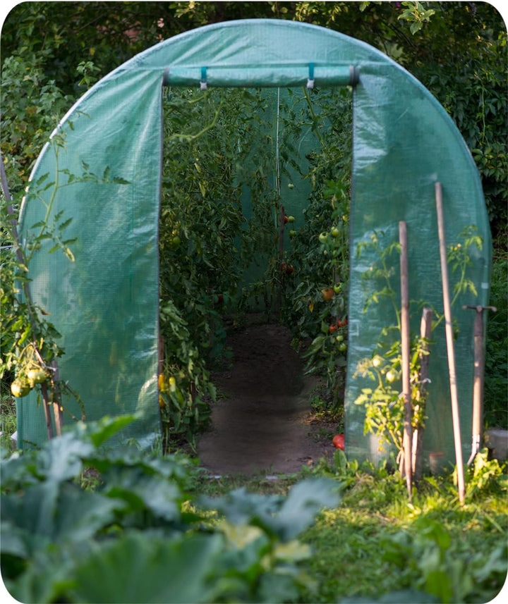 Plonos 6m2 Garten-Folientunnel-Gewächshaus – Gewächshaus Coche für Pflanzen –Gartenabdeckung aus PE-