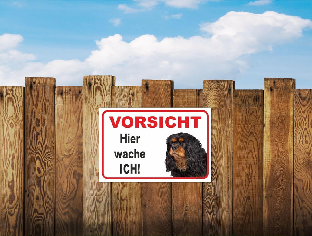 Schild - Vorsicht Cavalier King Charles Spaniel - Hier wache ich - (20x30cm) / Achtung Familienhund