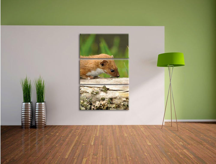 Pixxprint Fretchen auf Baumstamm 3-Teiler Leinwandbild 120x80 Bild auf Leinwand