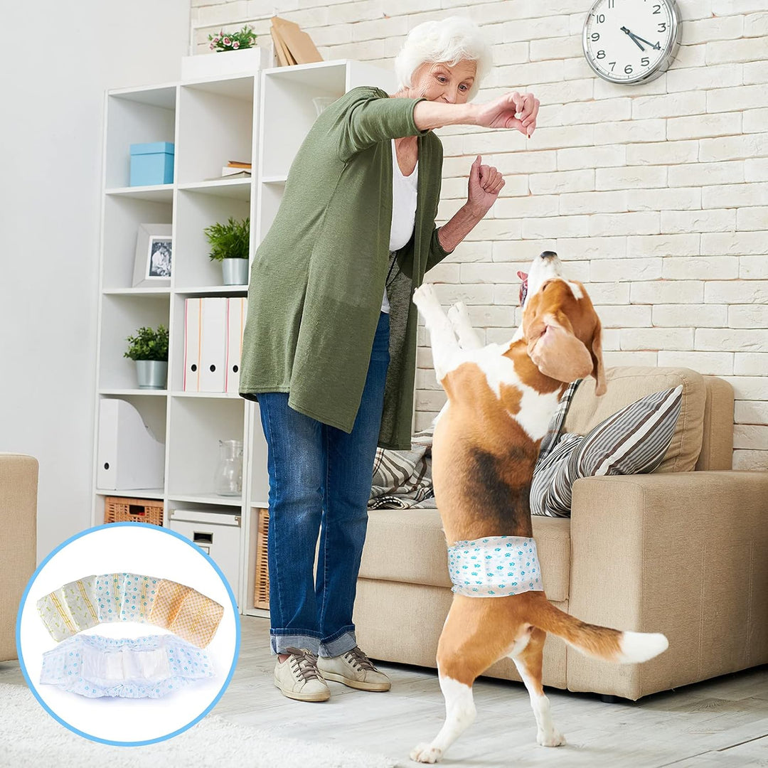 Pet Soft Hundewindel für Rüden, Einweg-Windel für Rüden, Rüdenwindeln, Super saugfähig und auslaufsi