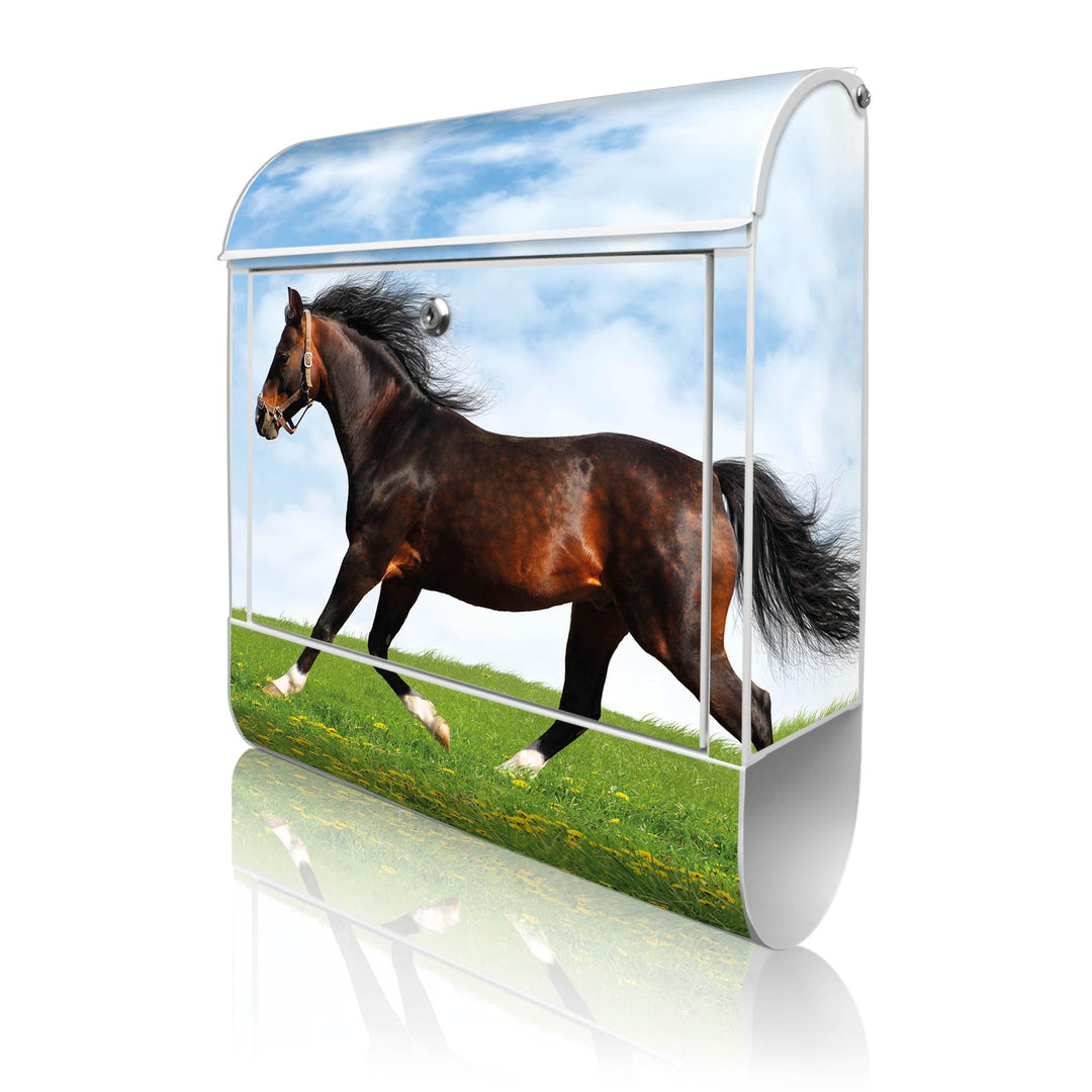 banjado® Design Briefkasten mit Motiv Pferd 39x47x14cm &amp; 2 Schlüssel - Briefkasten Stahl weiss mit Z