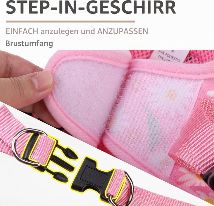 PUPTECK Hundegeschirr Und Leinen-Set Für Kleine Bis Mittlere Hunde - Weichmaschen Welpen Geschirr Mi
