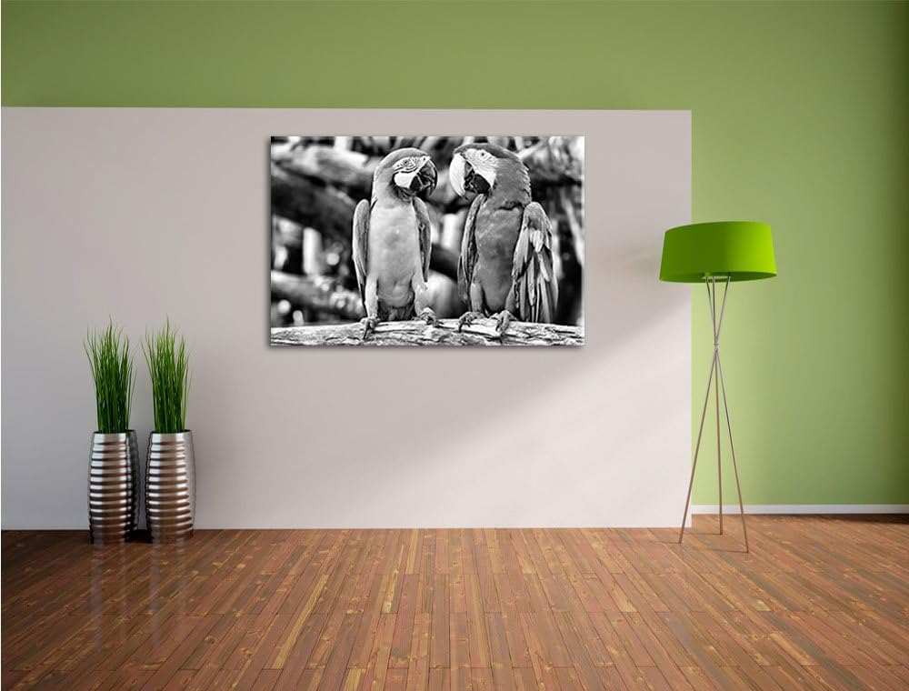 Zwei Papageien auf einem AST / 100x70cm Leinwandbild bespannt auf Holzrahmen/Wandbild Kunstdruck Dek